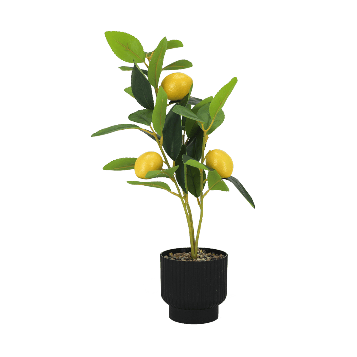 Planta Decorativa R/JL2025-A21 Planta Decorativa R/JL2025-A21