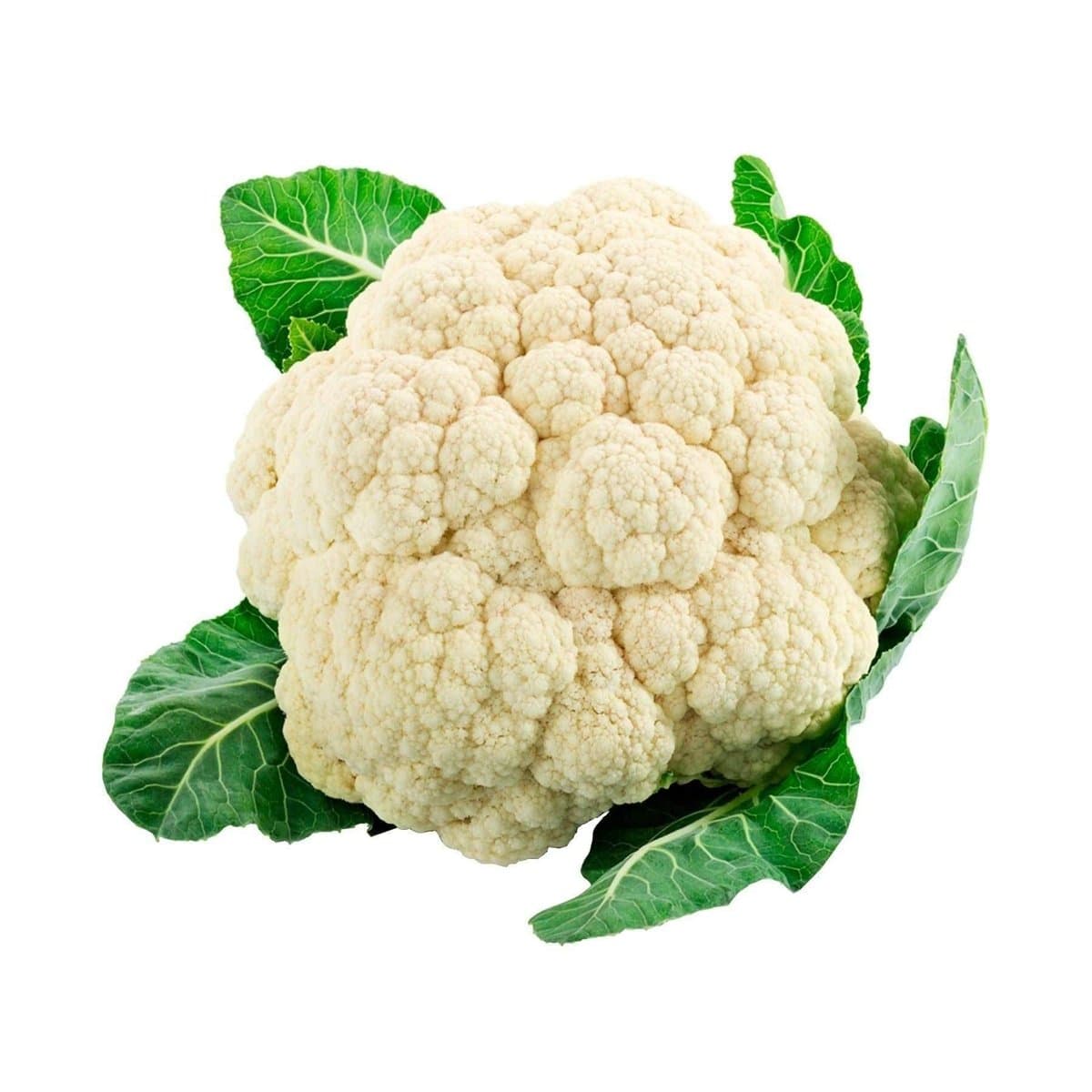 Coliflor Fresco Premium Por Libras Coliflor Fresco Premium Por Libras