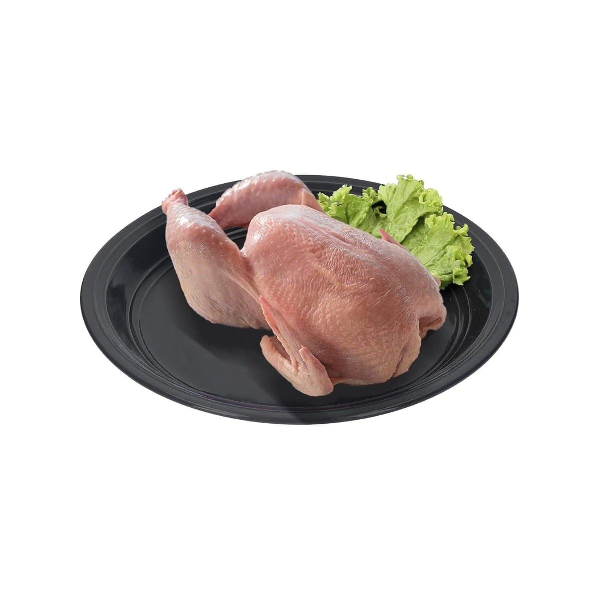 Gallina Don Pollo Congelada Por Libras Gallina Don Pollo Congelada Por Libras