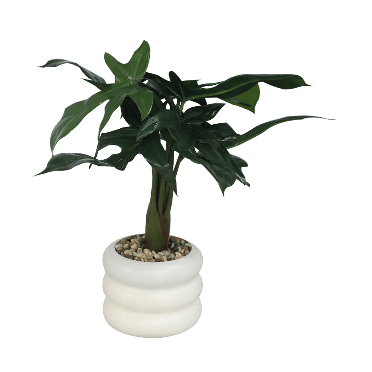 Planta Decorativa R/ZL-25022 Planta Decorativa R/ZL-25022