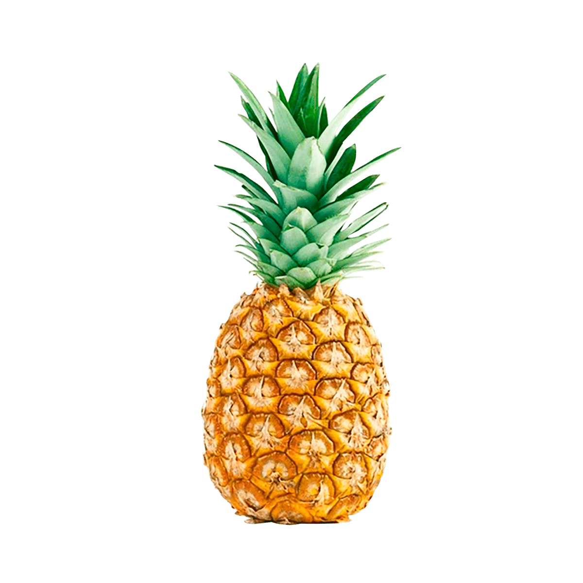 Piña Premium Piña Premium