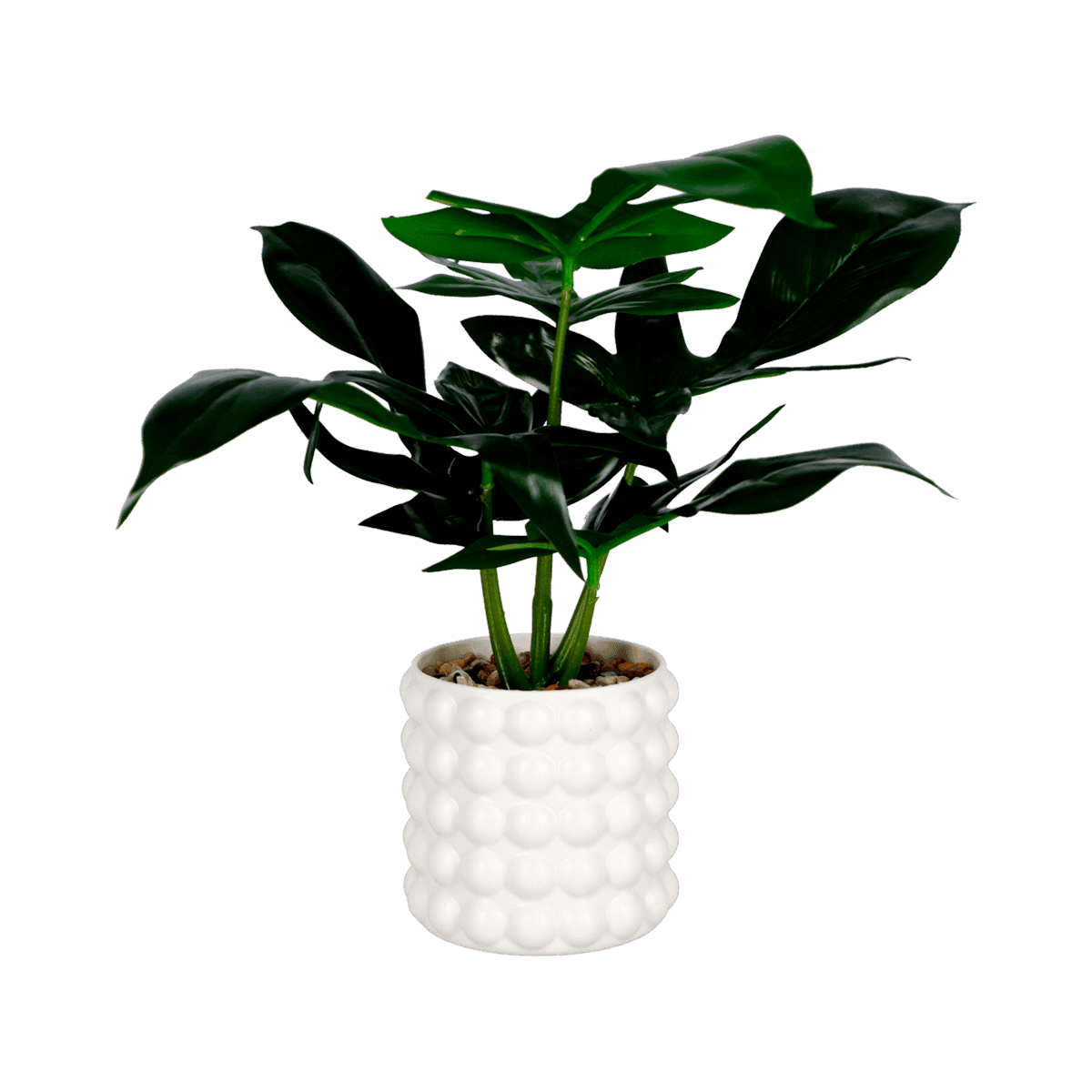 Planta Artificial Decorativa R/ZL-25021 Planta Artificial Decorativa R/ZL-25021