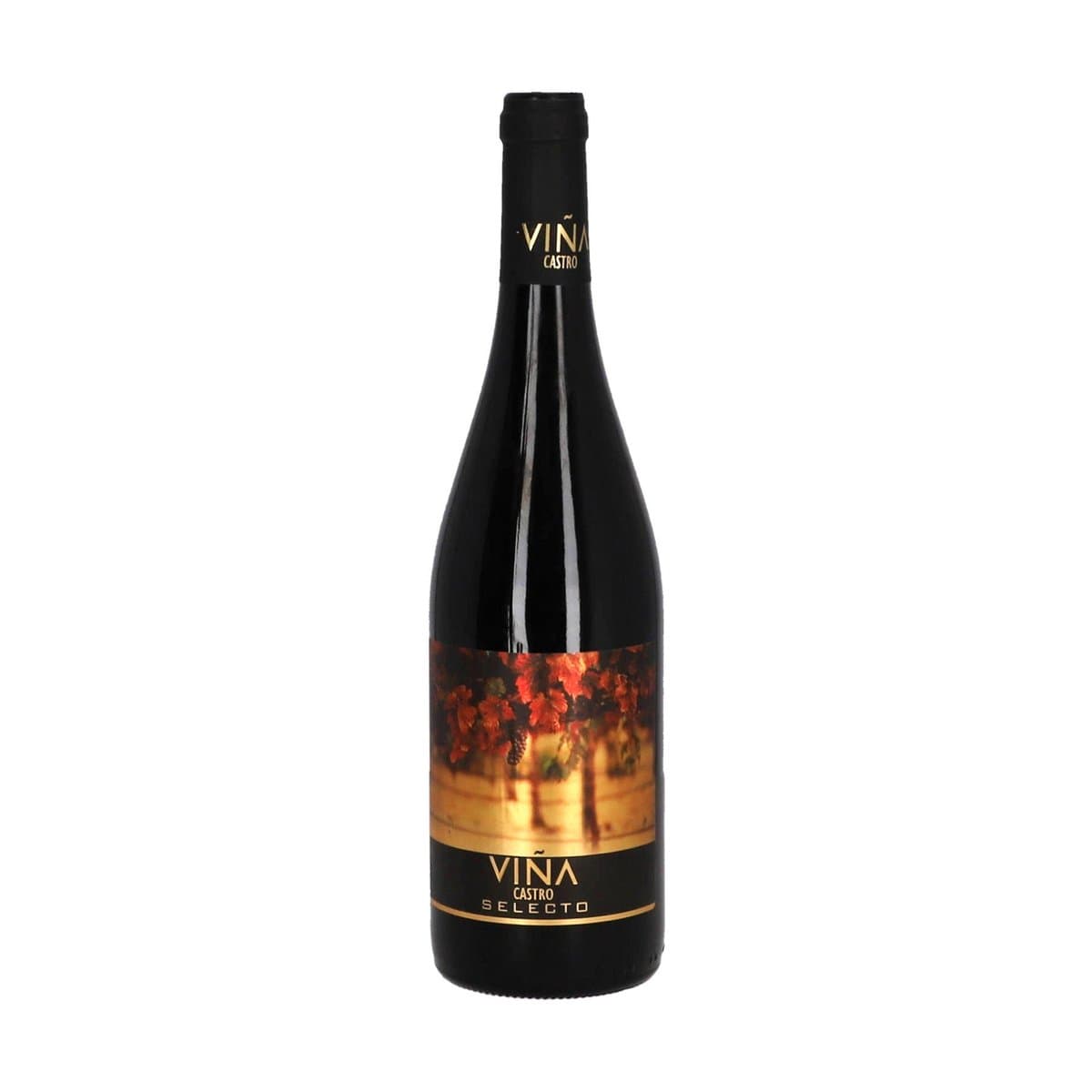 Vino Vina Castro Selecto 750ml Vino Vina Castro Selecto 750ml
