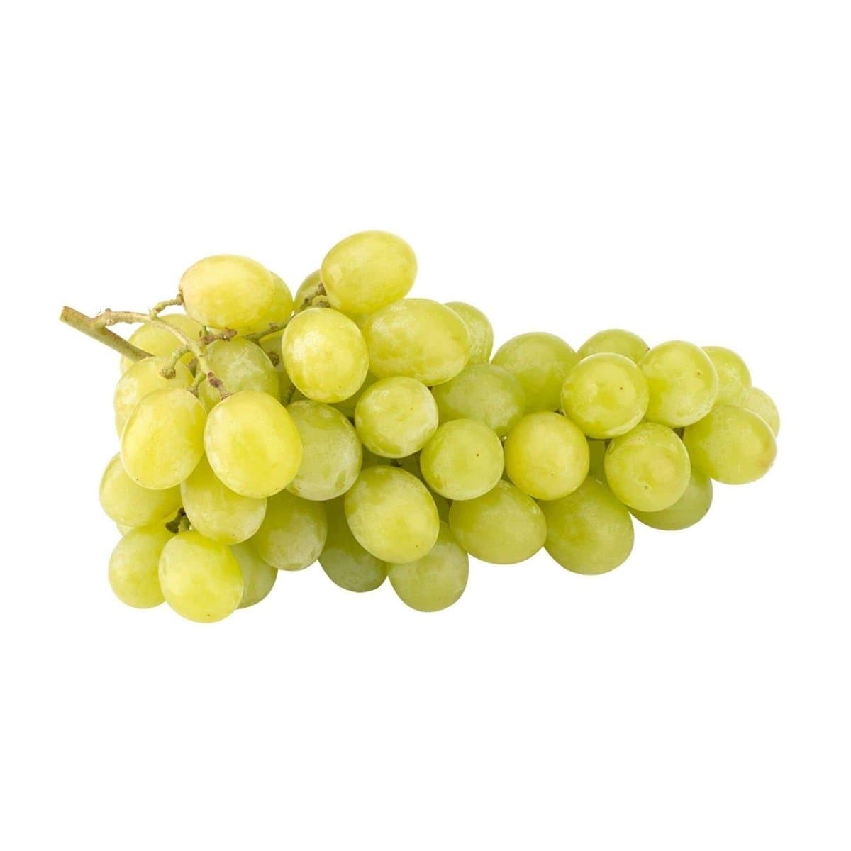 Uvas Verdes Sin Semilla Por Libras Uvas Verdes Sin Semilla Por Libras