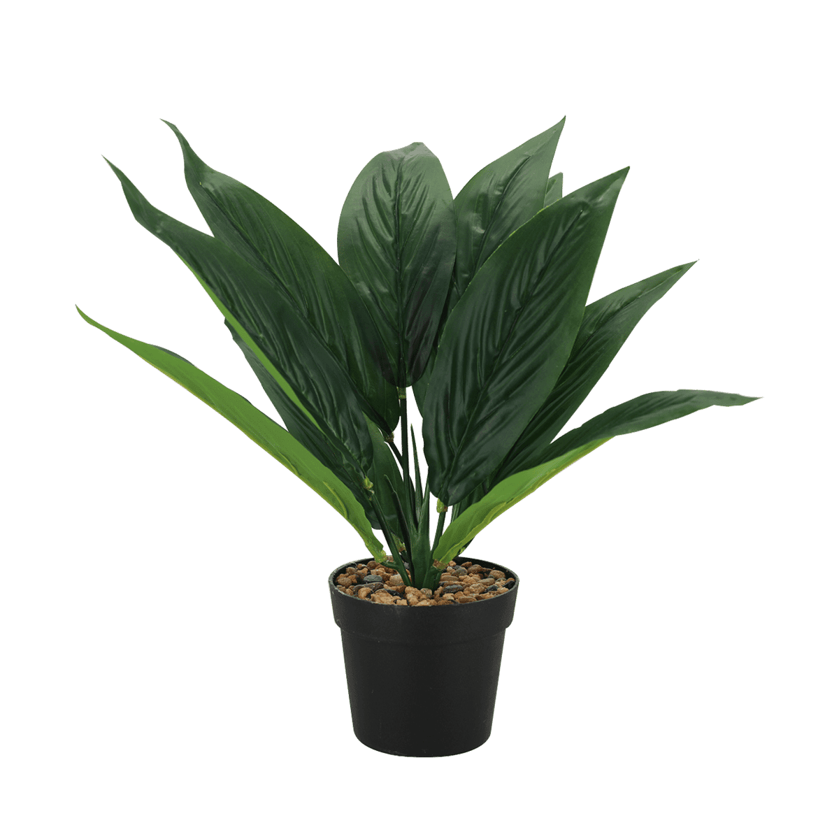 Planta Decorativa R/CY210473 Planta Decorativa R/CY210473