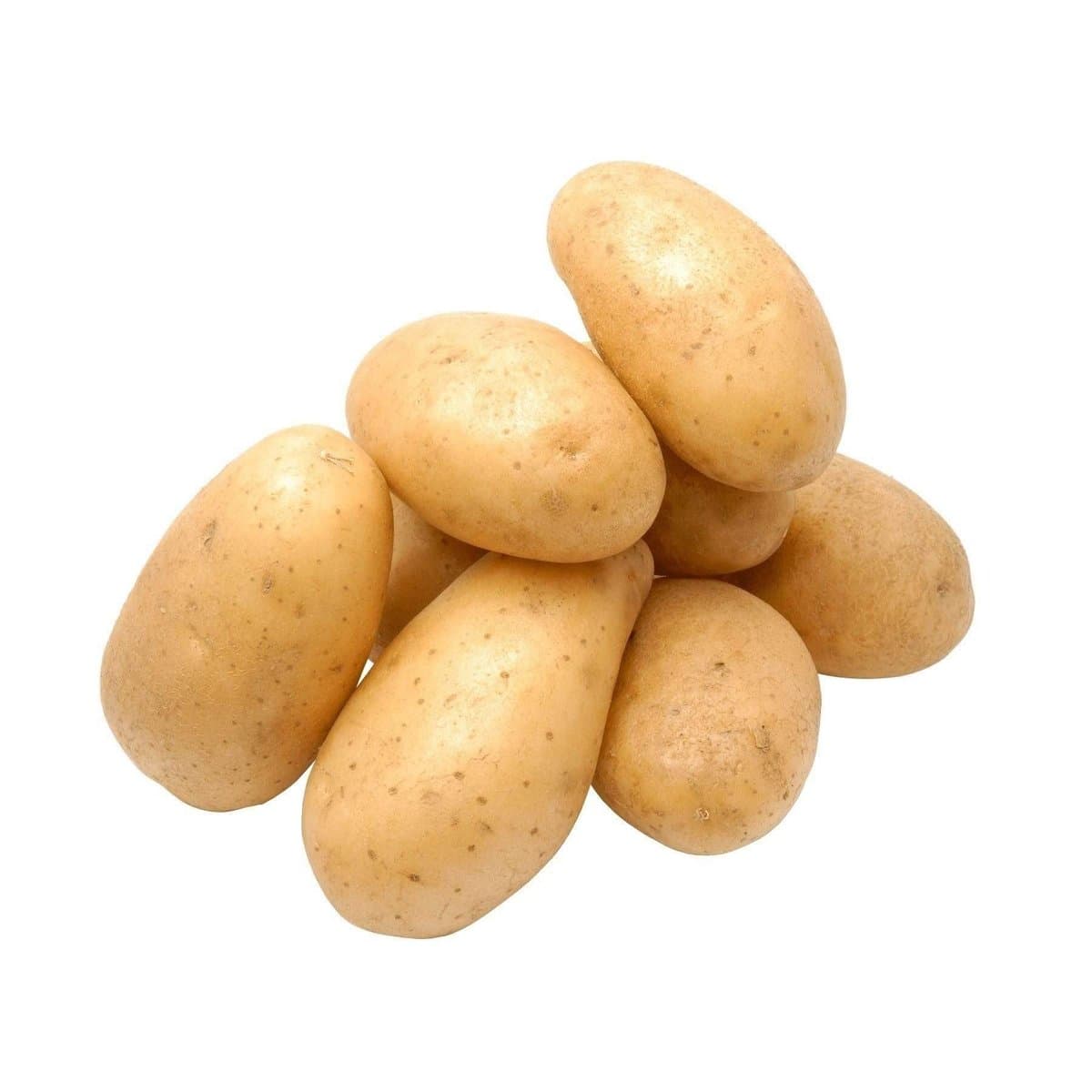 Papas Criolla Por Libras Papas Criolla Por Libras