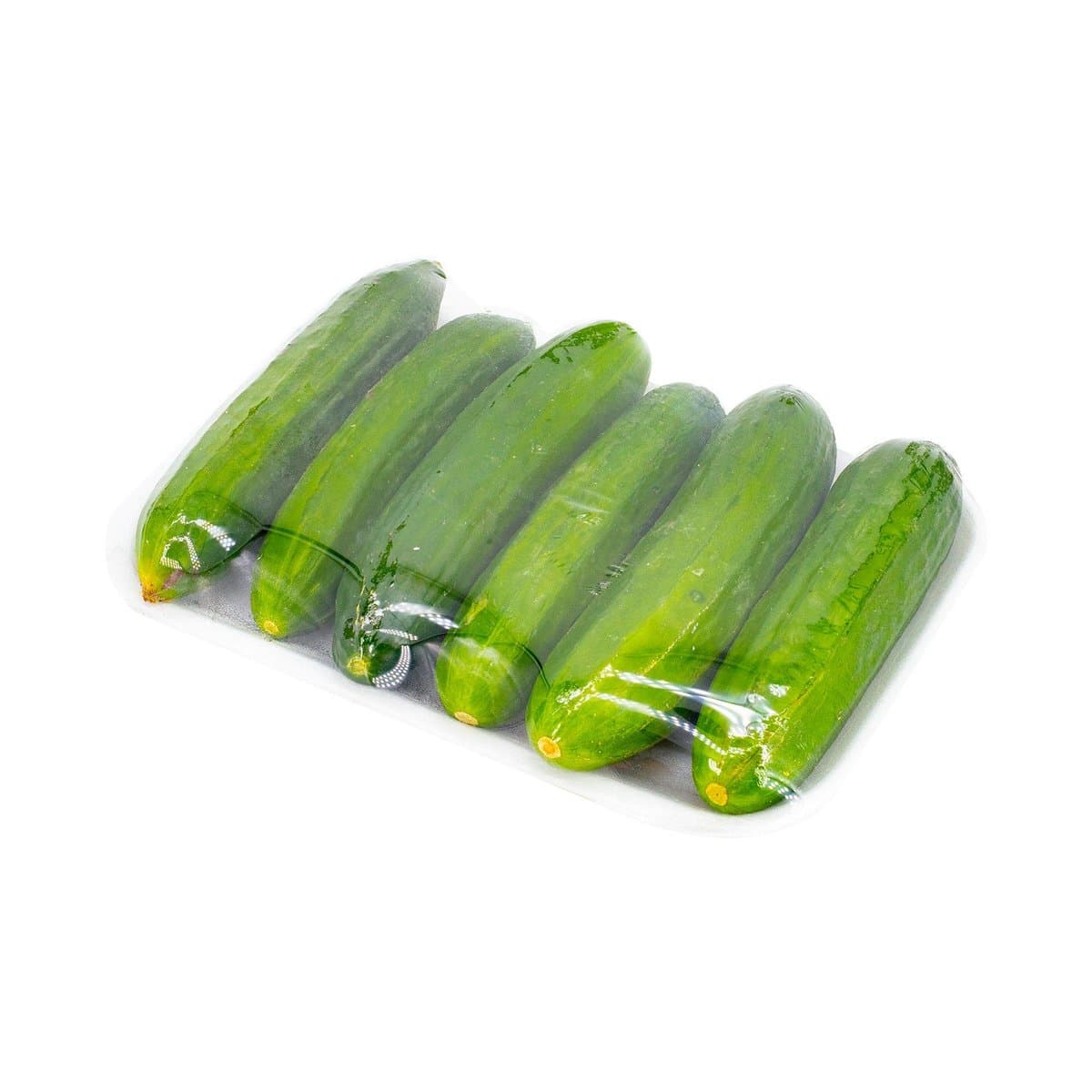 Pepino Persa Por Libras Pepino Persa Por Libras